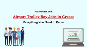 Airport Trolley Boy