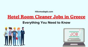 Hotel Room Cleaner